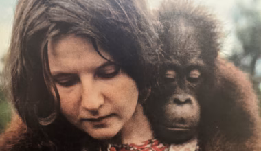 Biruté Galdikas, 79, has died. She made major discoveries about orangutans.