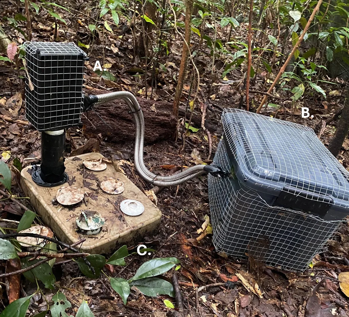 Camera set up to view frog apartment living