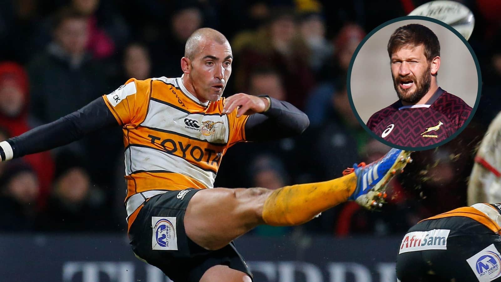 Cheetahs: South African team primed for stunning URC return