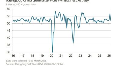 China Services PMI slows as domestic demand offsets weak external conditions