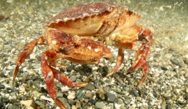 PMEL-coauthored research receives UK nomination for the prestigious Frontiers Planet Prize