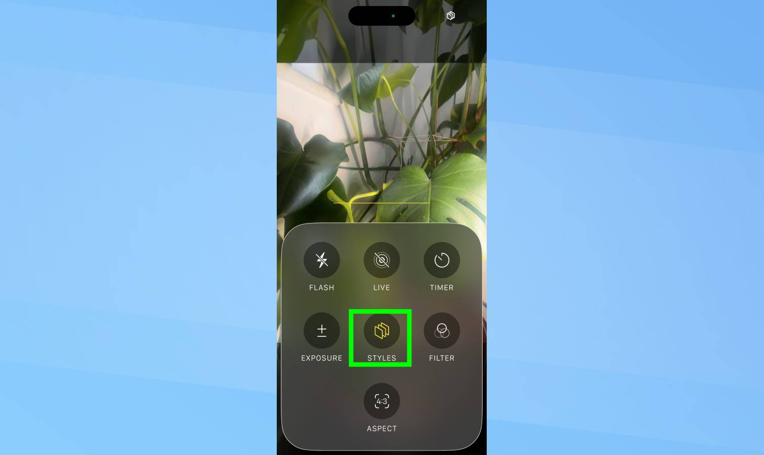 Styles highlighted in iPhone camera