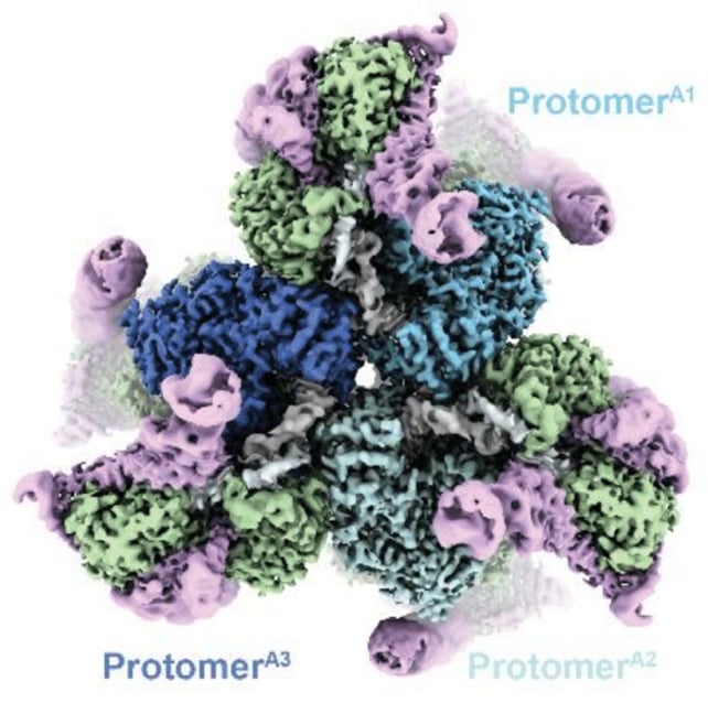 DNA graphic