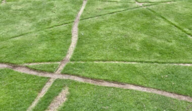 Historic golf course repeatedly attacked by vandals