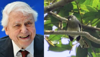 6 famous people with animals named in their honor