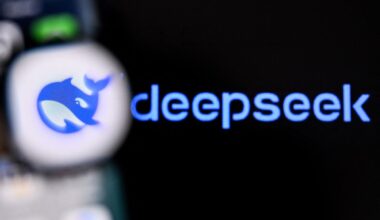 China’s DeepSeek releases new AI model it claims beats all open-source competitors
