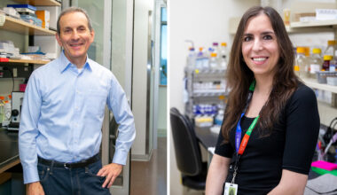 GLP-1 medicine improves liver health independent of weight loss