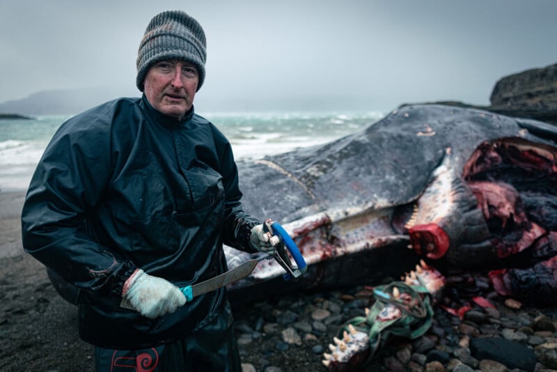 A person in a beanie and waterproof gear holds a large knife and saw, standing on a rocky shore next to the carcass of a large, partially dissected whale under a cloudy sky.
