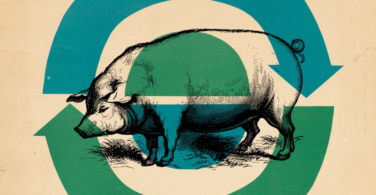 The best thing you can do for Earth Day 2026: Eat less meat and dairy, more plant-based meals