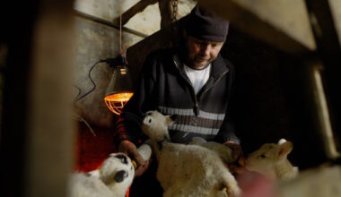 The Station to host screening of award-winning farming film