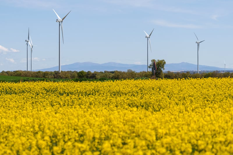 Wind turbines used to generate electricity in Burgos, northern Spain. Photograph: Cesar Manso/AFP/Getty Images          