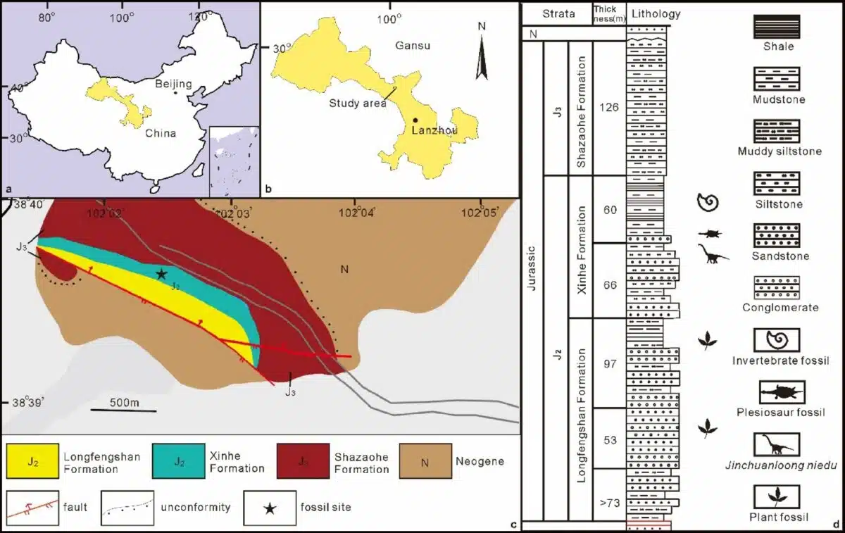 Geological Context And Location Of The Jinchuanloong Niedu Fossil Site In Gansu Province, China.