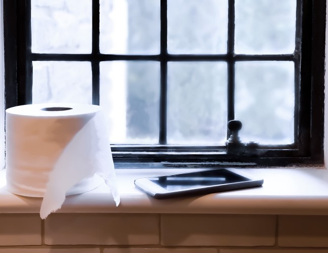 cell phone etiquette & hygiene: does your smart phone belong on your bathroom window sill?