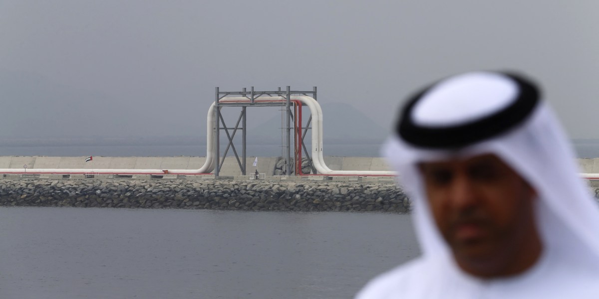 'Take the money and run': Johns Hopkins economist Steve Hanke on why the UAE quit OPEC