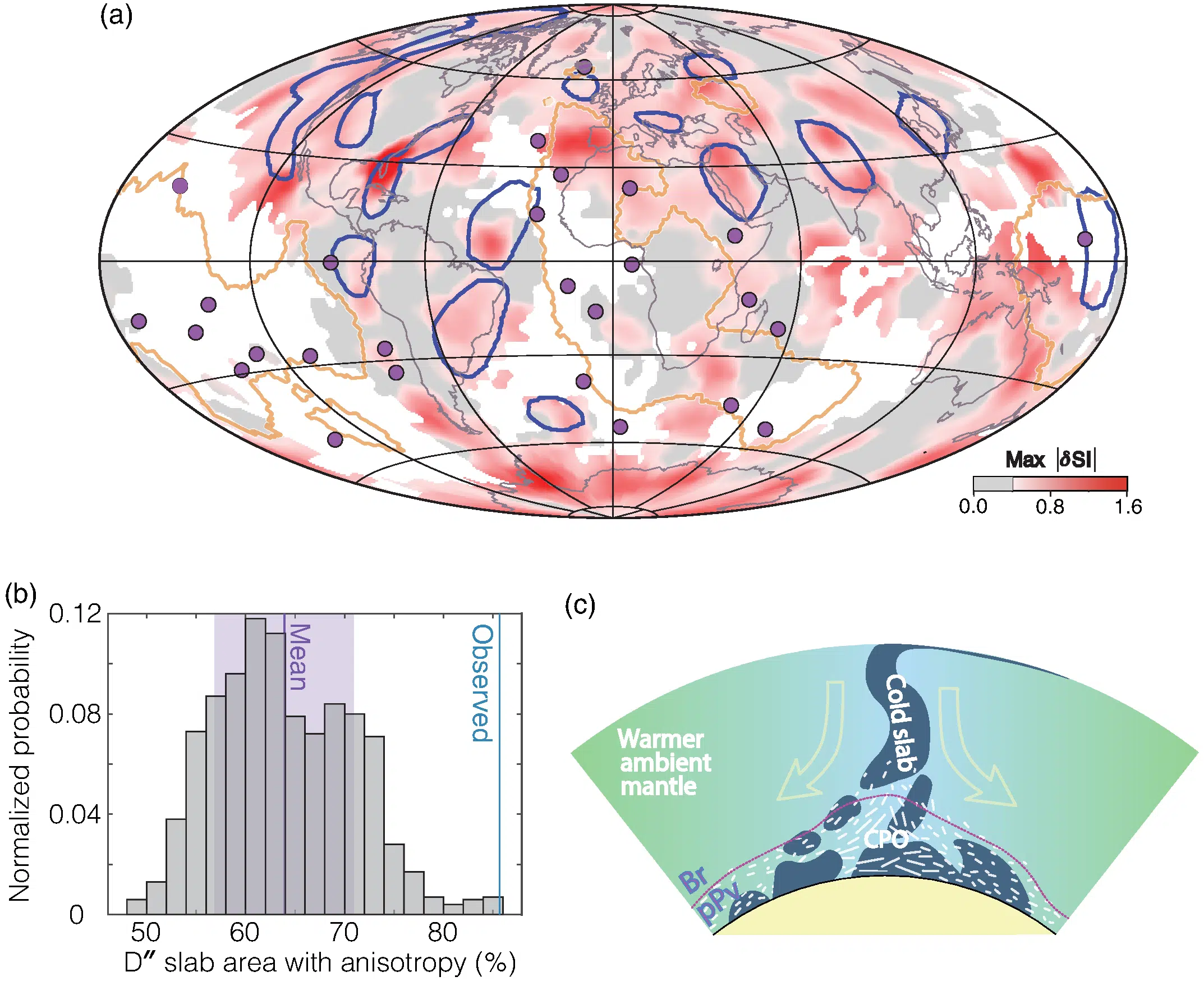 Global Distribution And Interpretation Of Seismic Anisotropy In Earth’s Lowermost Mantle.