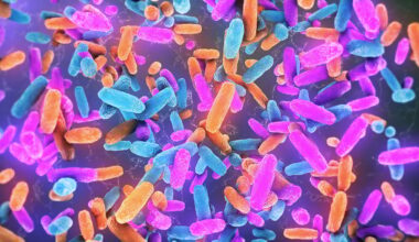 Gut Bacteria Could Be a Hidden Trigger For Neurodegenerative Diseases : ScienceAlert