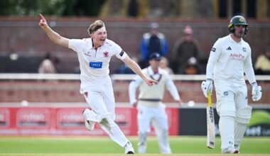 Alife and James put Somerset on top on day three