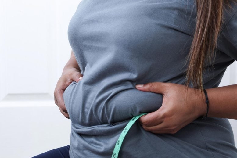 Heavy Overweight Woman Pinching Belly Fat