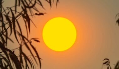 Almost 30% of Us Face 5x More Heat-Drought Extremes by End of Century : ScienceAlert