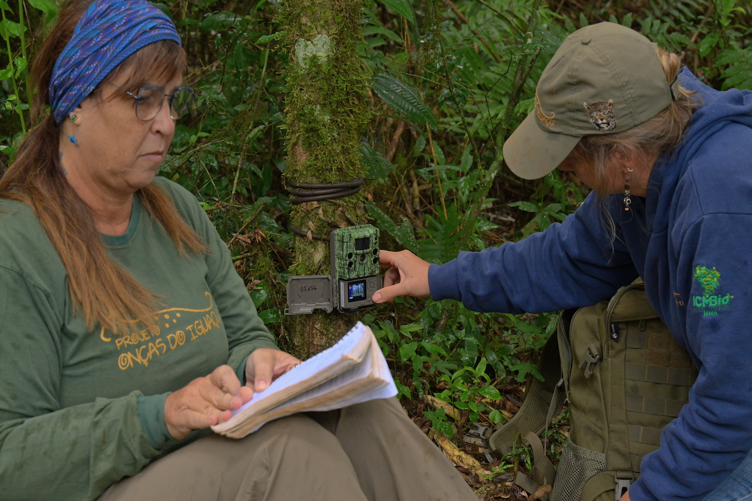 Yara Barros, a researcher with the non-profit Projeto Onças do Iguaçu, (left) setting up a camera trap. This study showed that where prey is abundant, jaguars persist, and where prey is scarce, jaguars decline or disappear.