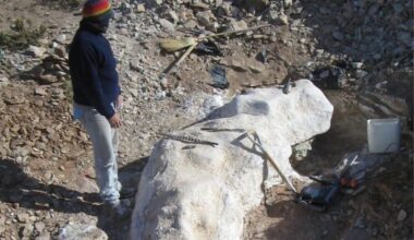 In The Middle Of His Farm In Patagonia, A Shepherd Found A 20 Meter Dinosaur That Doesn’t Fit Any Known Group