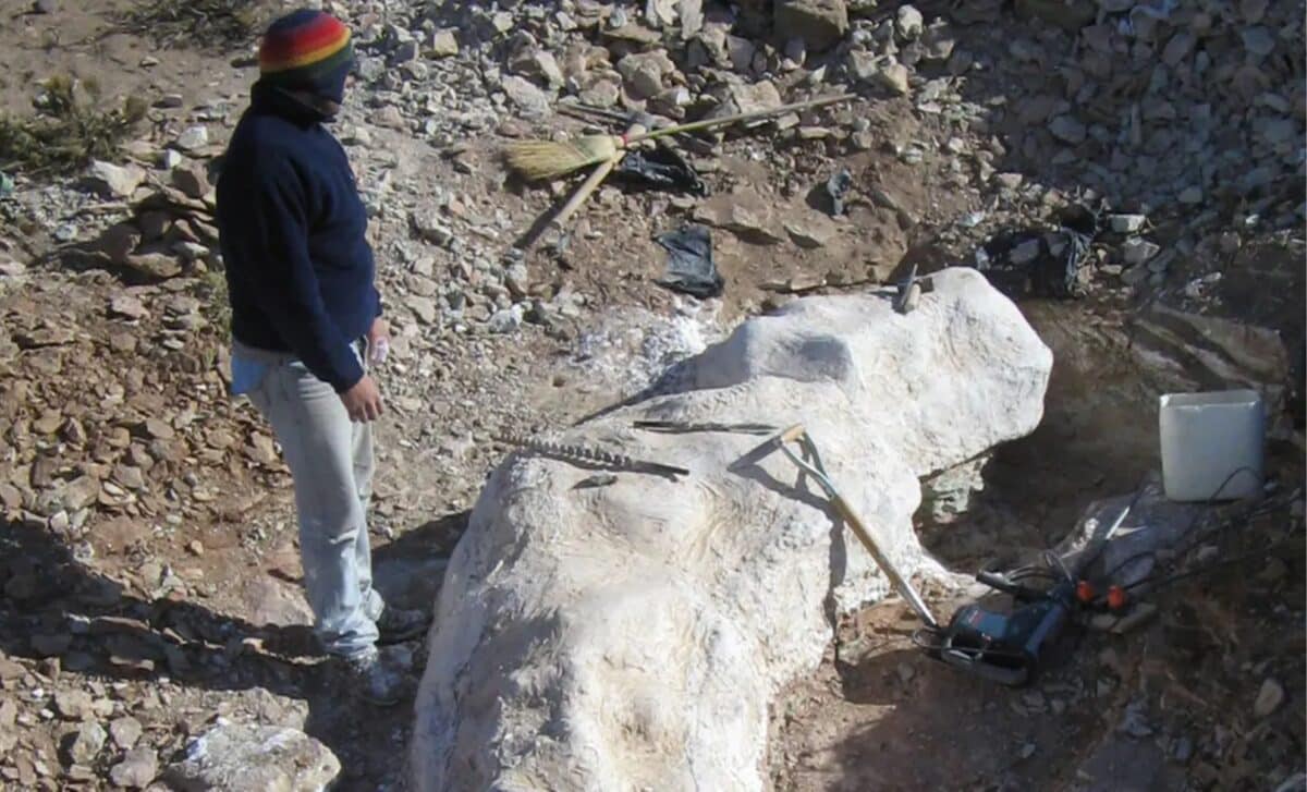 In The Middle Of His Farm In Patagonia, A Shepherd Found A 20 Meter Dinosaur That Doesn’t Fit Any Known Group