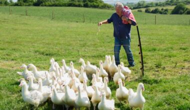 'Clarkson's Farm' Sets June Season 5 Launch Date