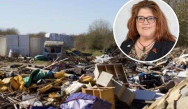 Fly-tipping rates increase in West Norfolk while fewer tip visits are being made, councillor says