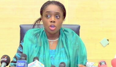 Adeosun, Entrepreneurs Unveil Platform to Help Startups Build Resilient Businesses – THISDAYLIVE