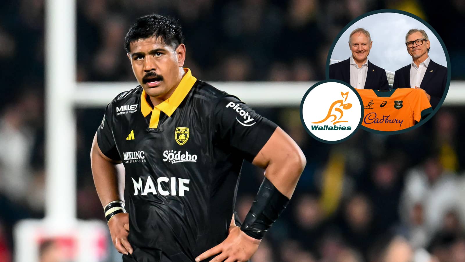 The question Joe Schmidt, Wallabies should be asking