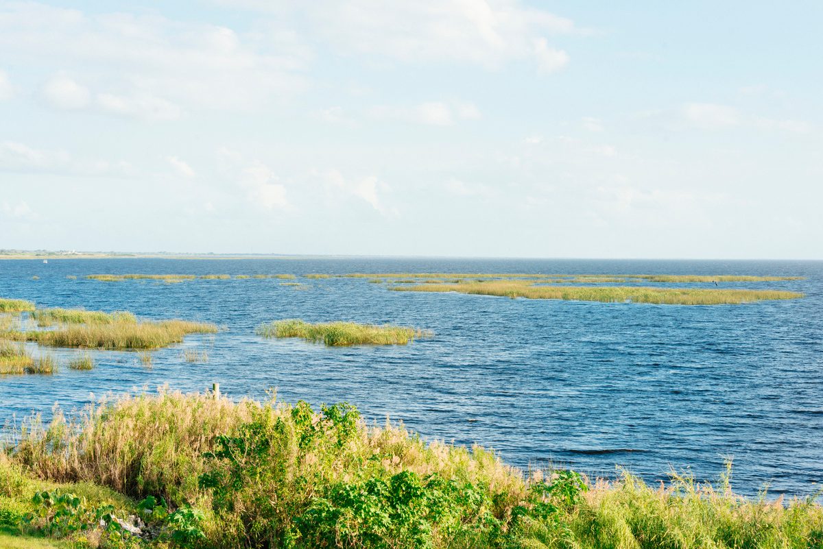This is a horizontal, color photograph of scenic Lake Okeechoee Florida, one of the largest lakes in the USA. On the sunny winter day the freshwater meets the sky. Bits of grass stick out of the water. Photographed with a Nikon D800 DSLR camera.