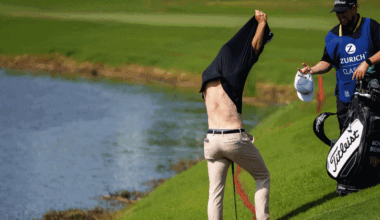 Golfer Strips Shirt for Unnecessary Shot Amid Alligator Jokes - 조선일보
