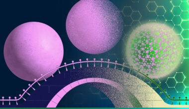 New study bridges the worlds of classical and quantum physics | MIT News