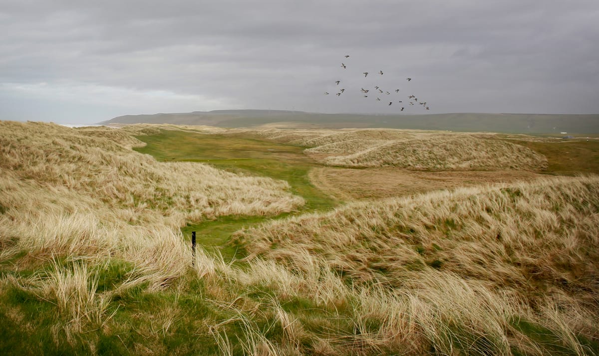 This 'natural' golf course could help shape the future of the sport