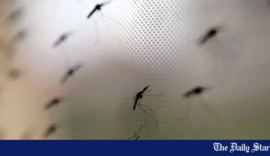 WHO approves first Malaria drug for babies