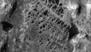 Nasa Spots A Giant Spiderweb Like Structure On Mars, And It May Reveal How Long Water Lasted