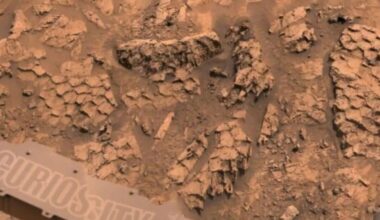 Nasa’s Curiosity Rover Discovers Unusual “dragon Skin” Patterns Stretching Across Mars’ Surface