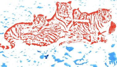 National Photo Committee: Red Hot Photo Committee Album Review