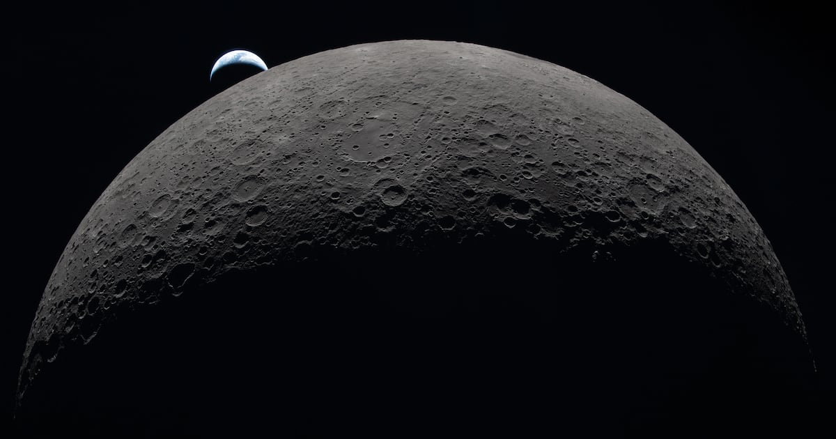 ‘There is something in every image that surprises me’ – The Irish Times