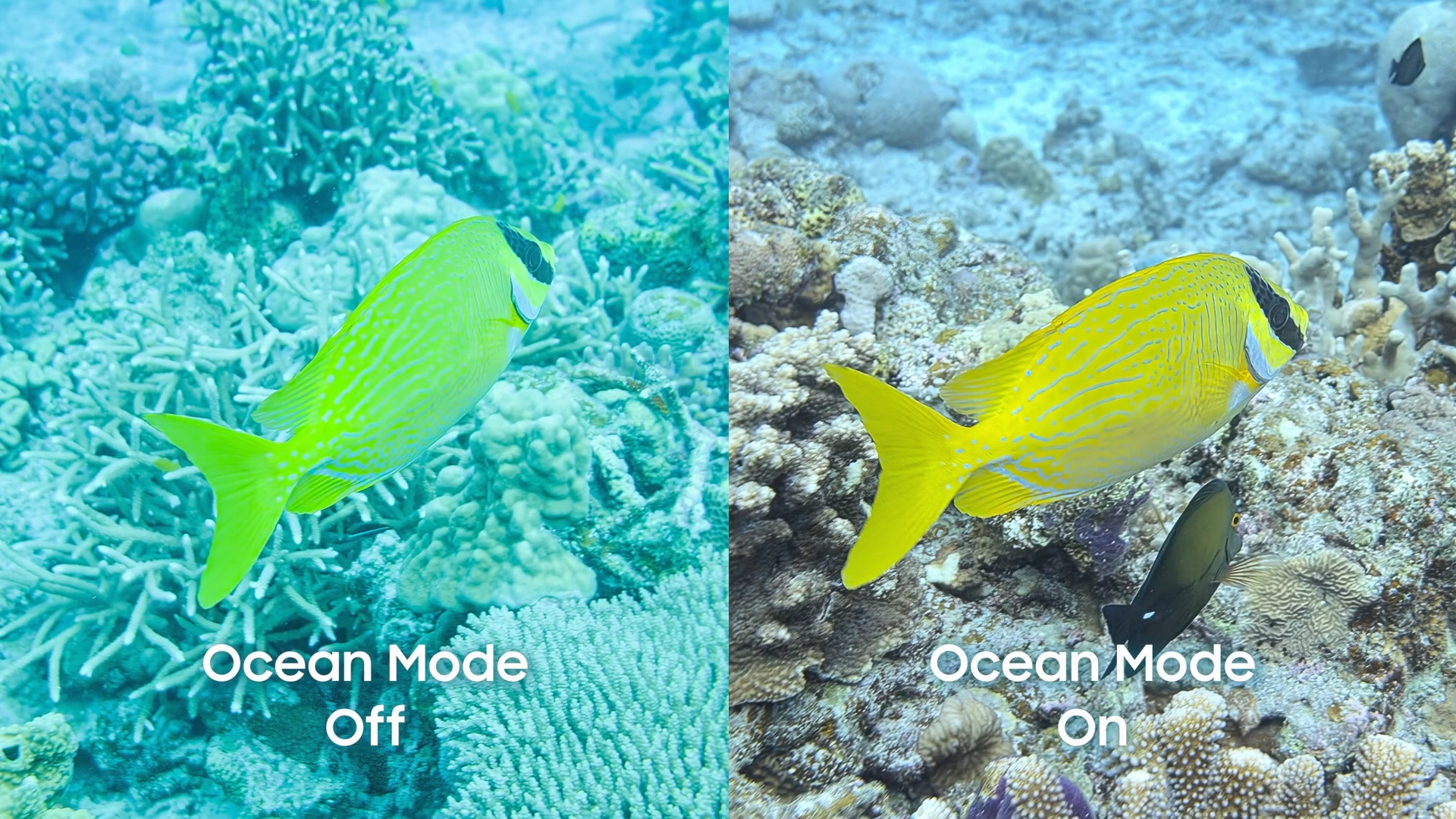 Ocean Mode on Samsung cameras