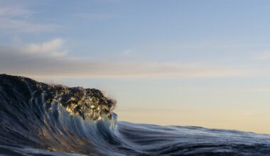 Newly discovered ocean methane source could fuel warming loop