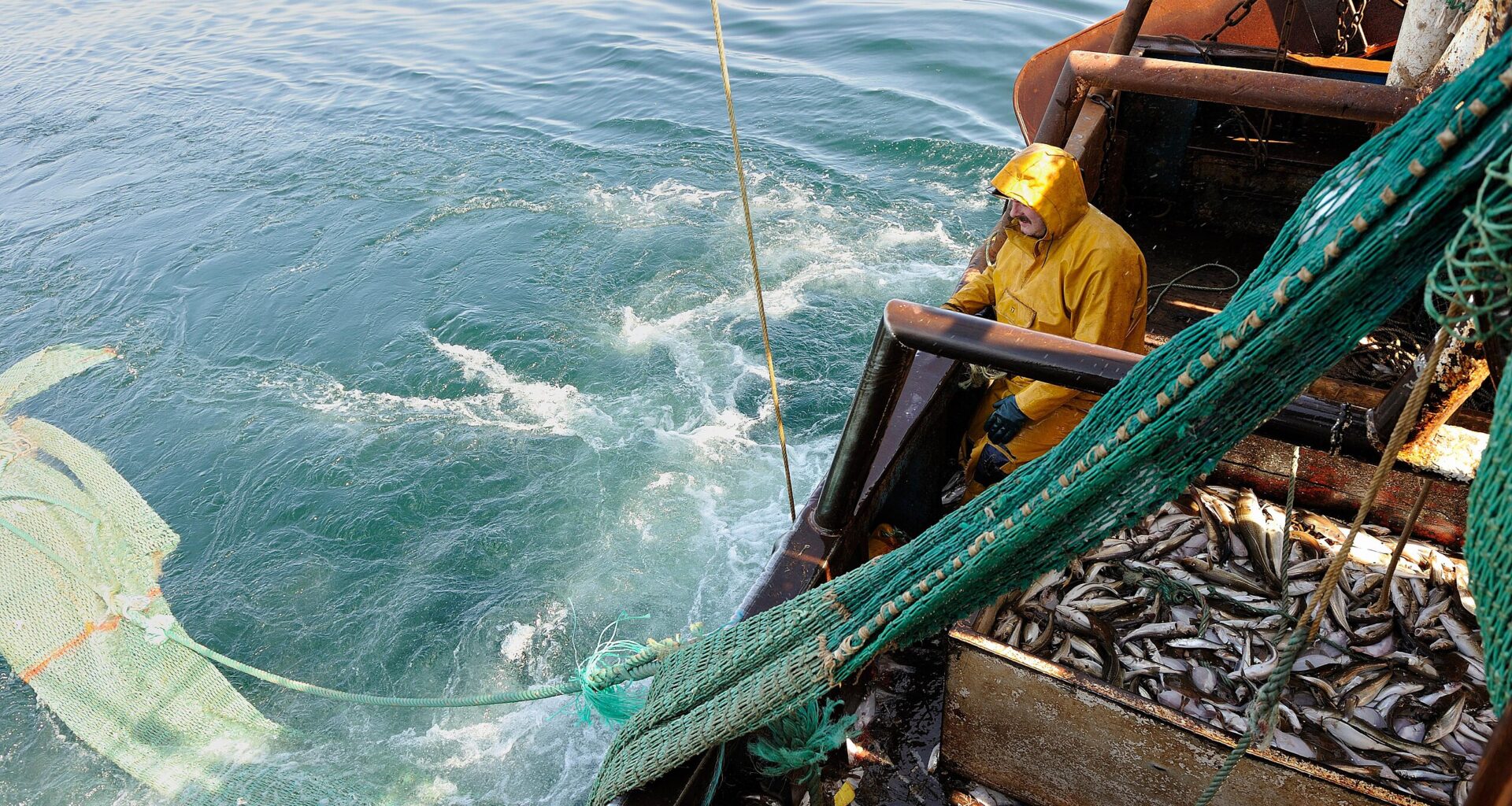 Bottom trawling undermines food security, report says