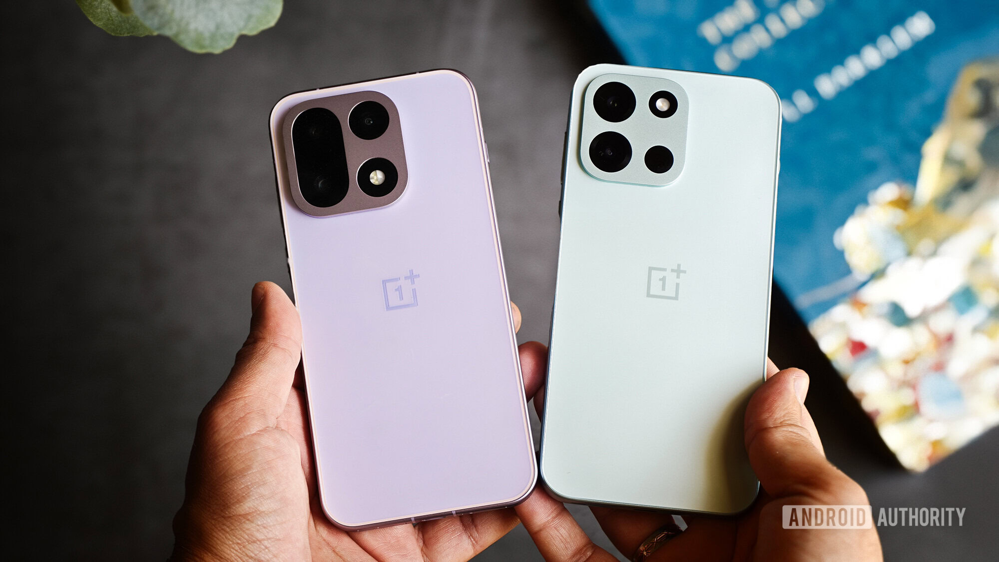 OnePlus Nord 6 vs OnePlus 15 OnePlus Nord 6 vs OnePlus 15