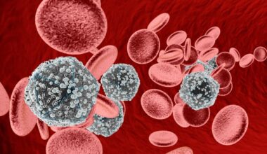 Man cured of HIV with transplant from his brother in world first procedure | News World