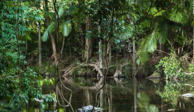 Paluma Range National Park in the Wet Tropics of Queensland