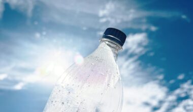 Plastic Bottle Sunlight
