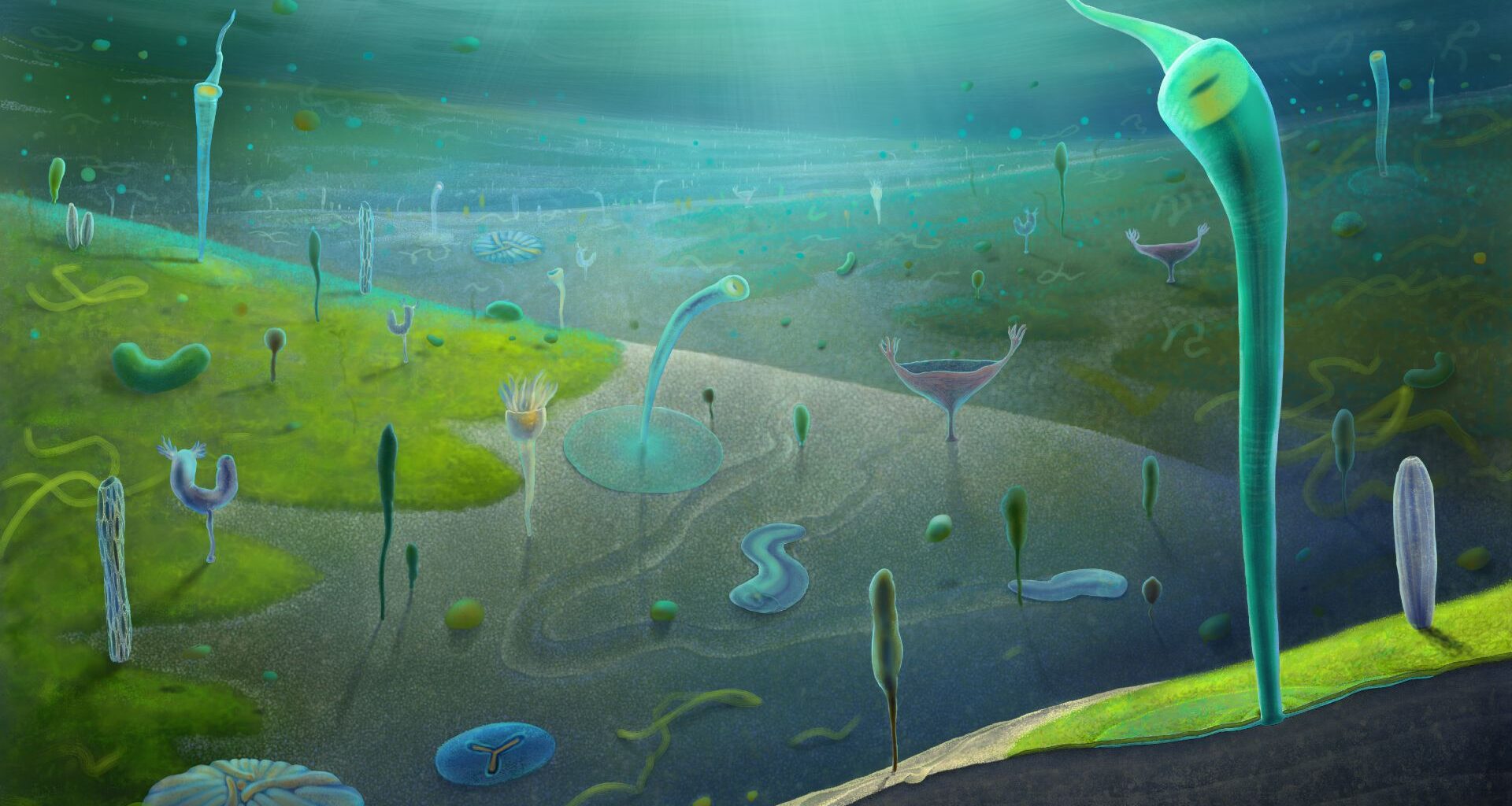 An illustration of a blue and green seabed floor with various paleolithic creatures standing up and swimming around