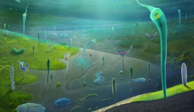 An illustration of a blue and green seabed floor with various paleolithic creatures standing up and swimming around