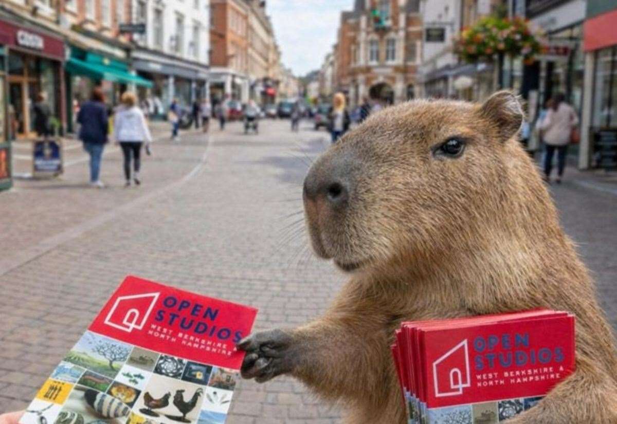Samba the missing capybara spotted in Newbury