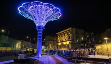 Full cost of Barnsley’s Yorkshire Rose sculptures revealed